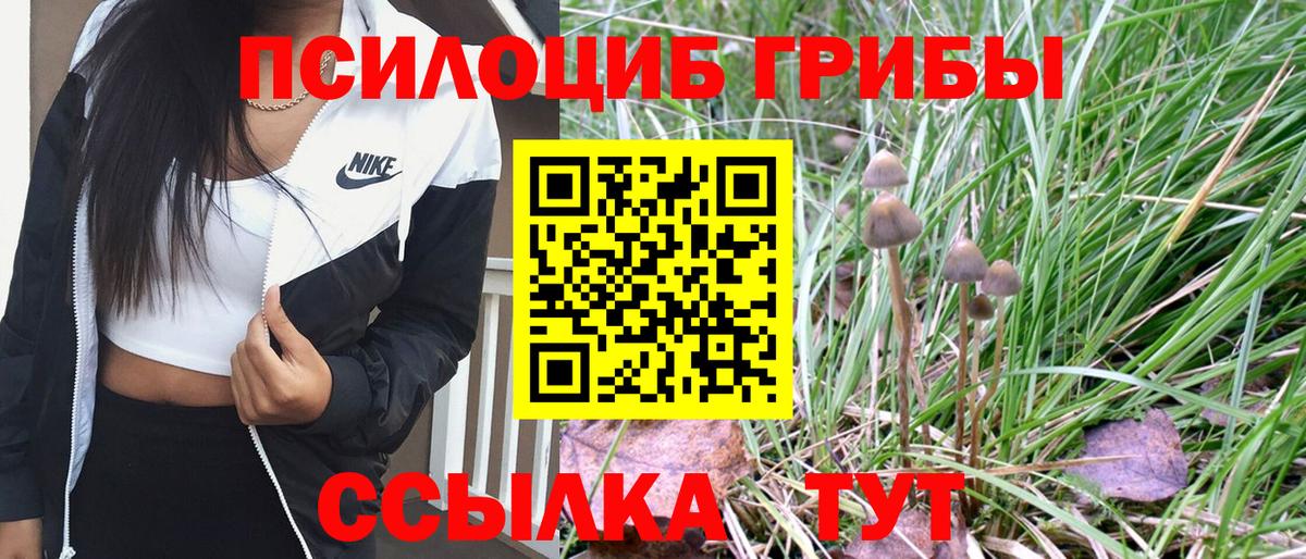 купить наркотик  Галлюциногенные грибы MAGIC MUSHROOMS  Вход с VPN  Воркута  Псилоцибиновые грибы прущие грибы 