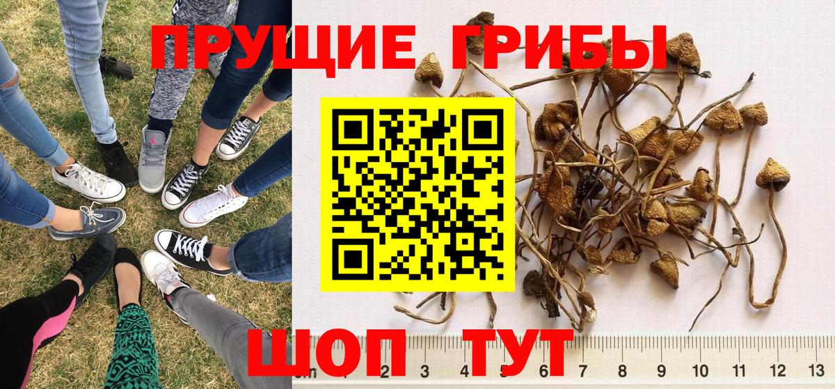 Галлюциногенные грибы ЛСД Воркута